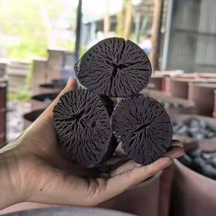 Coconut Shell Charcoal 01