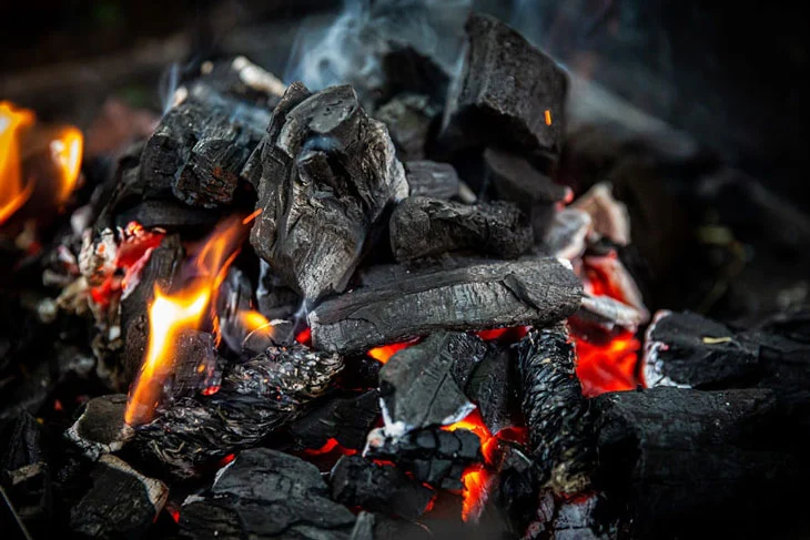 Charcoal – Definition, Applications, and Common Questions